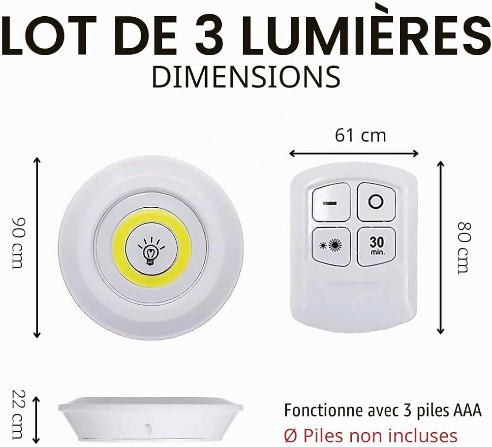 Ampoule Led ( 6 leds et 2 télécommandes)